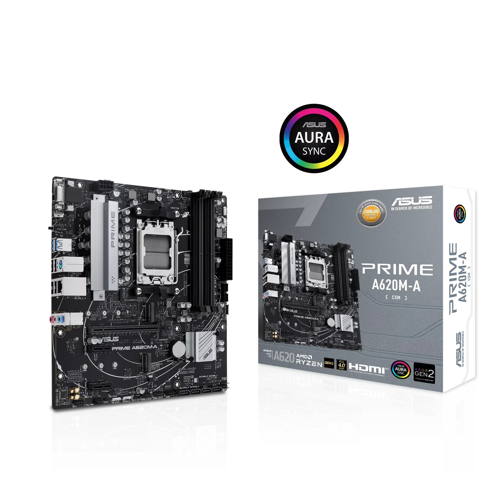 ASUS Prime A620M-A-CSM Mainboard Sockel AMD A620